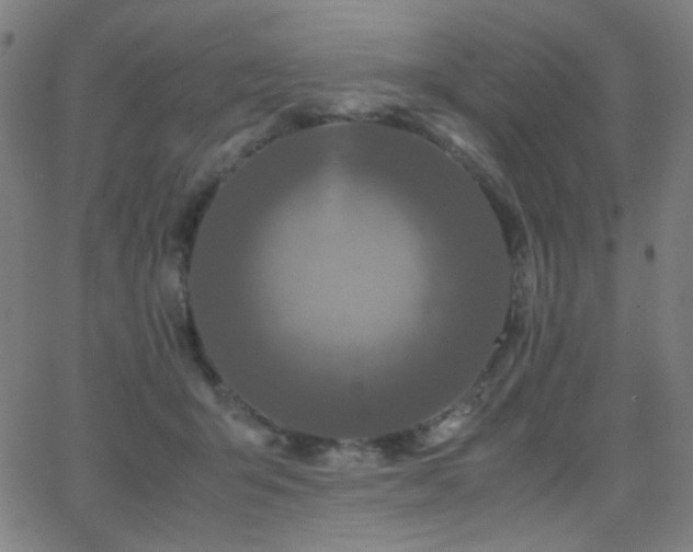 X0000062850415200601131355