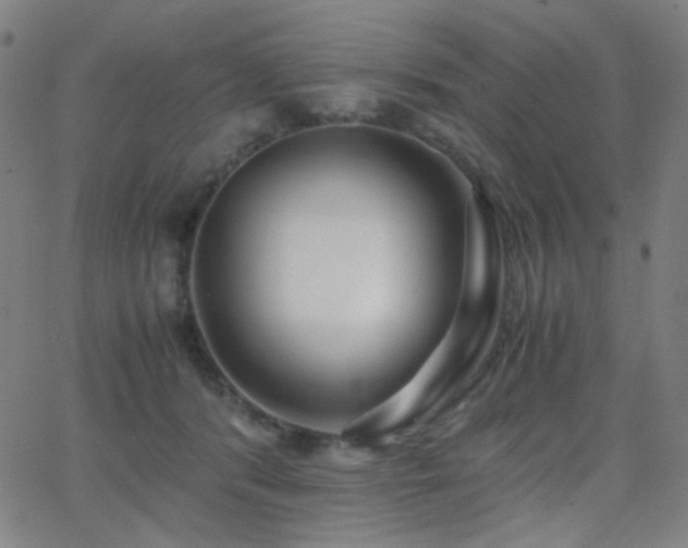 X0000062850416200601131355