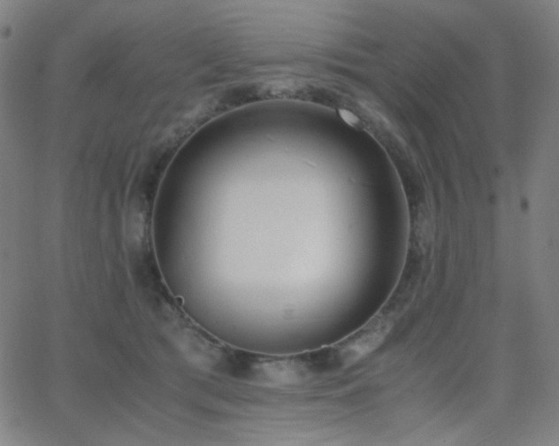 X0000062850417200601131355