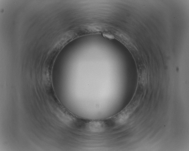 X0000062850418200601131355