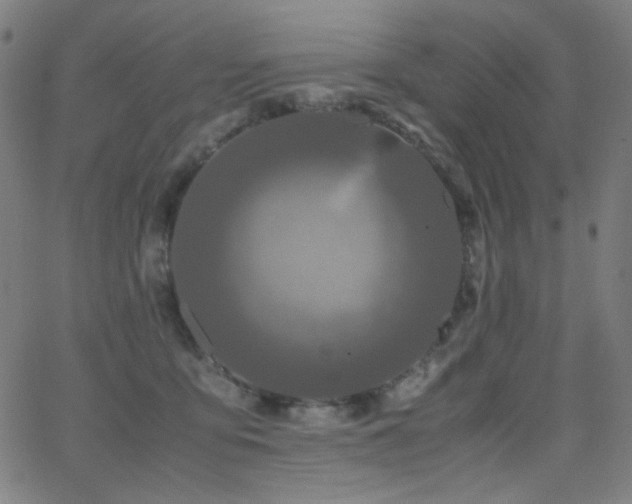 X0000062850419200601131355