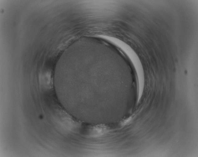 X0000062850420200601131355