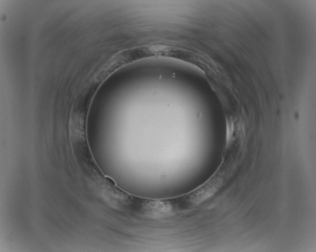 X0000062850421200601131355