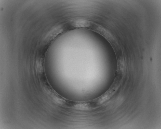 X0000062850422200601131355