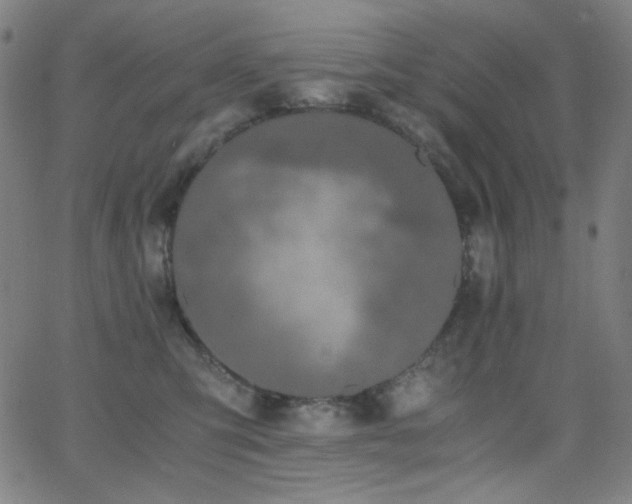 X0000062850423200601131355