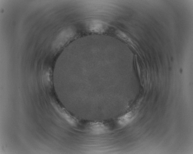 X0000062850424200601131355