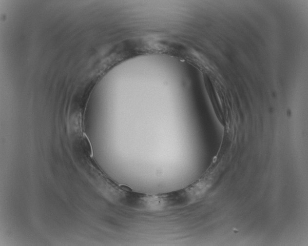 X0000062850425200601131355