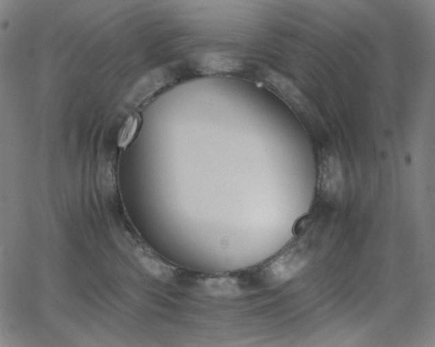 X0000062850426200601131355