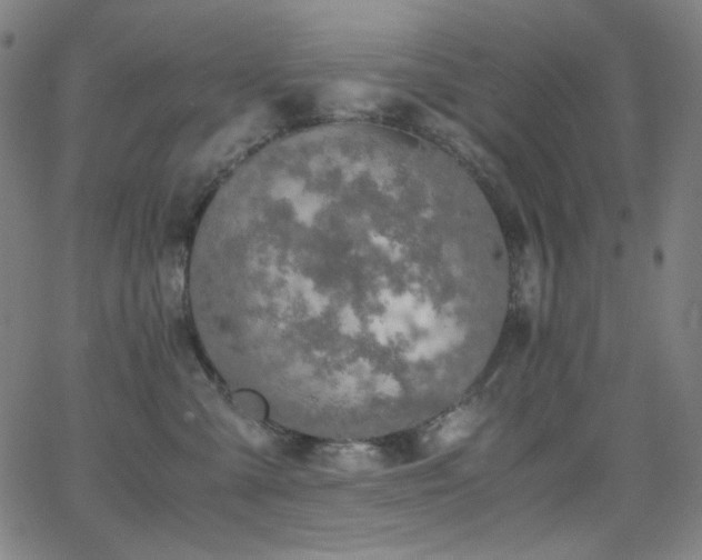 X0000062850427200601131355