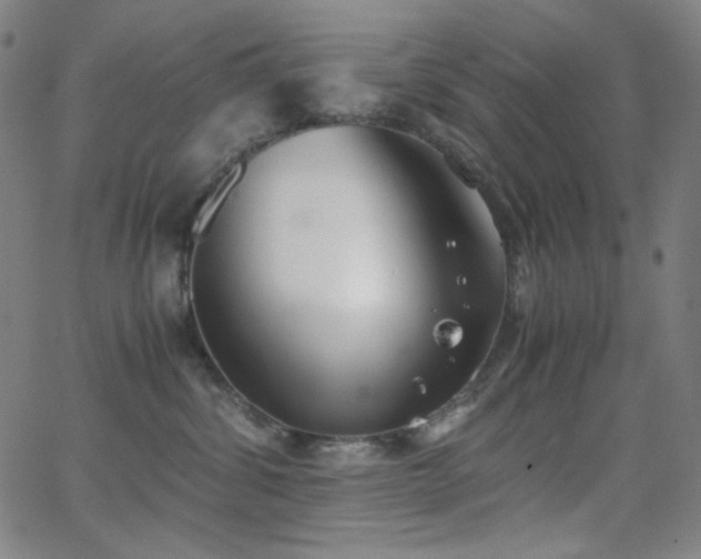 X0000062850428200601131354