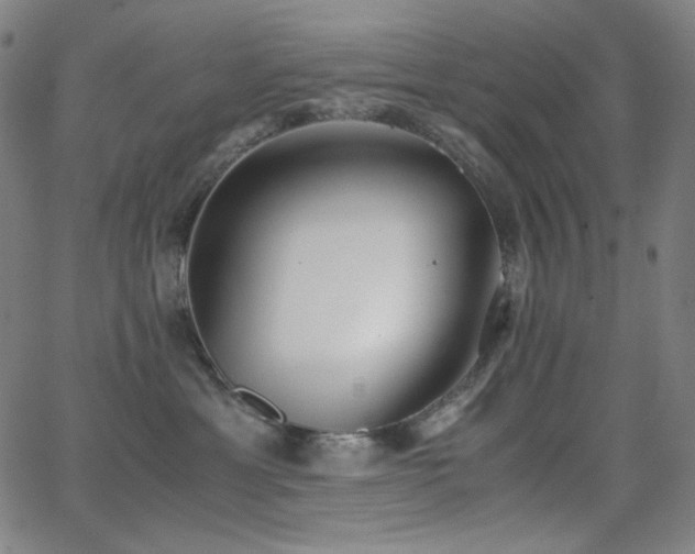 X0000062850429200601131354