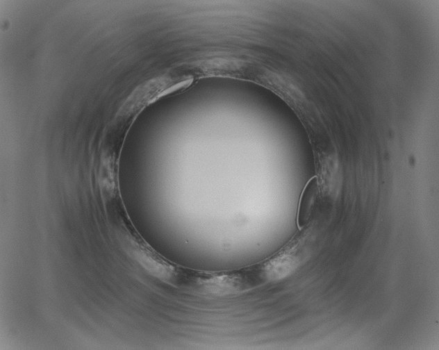 X0000062850430200601131354