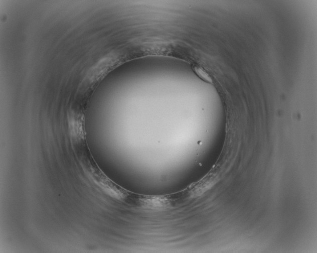 X0000062850432200601131354