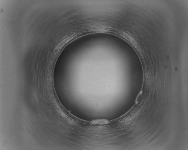 X0000062850433200601131354