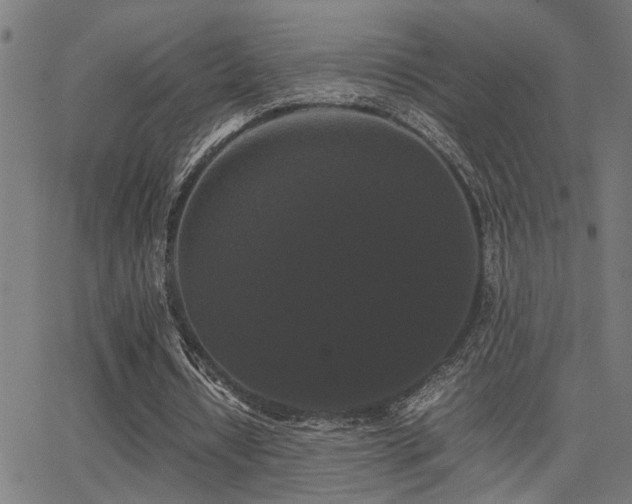 X0000062850434200601131354