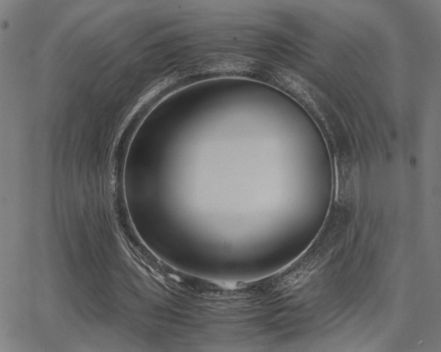 X0000062850435200601131354