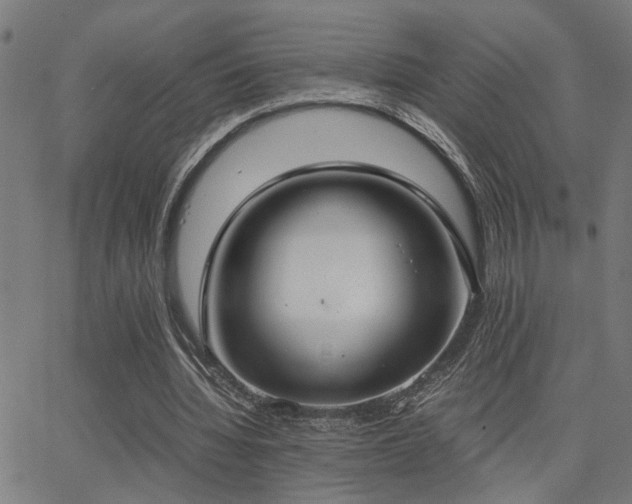 X0000062850436200601131354