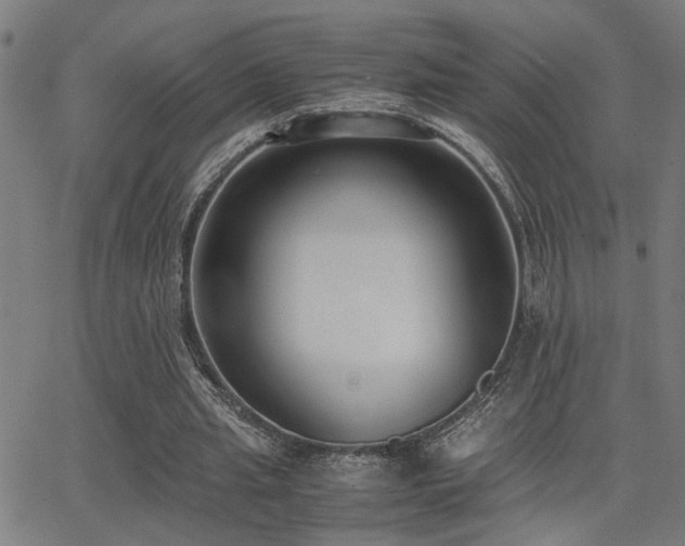 X0000062850437200601131354