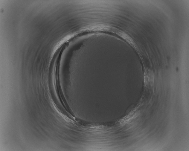 X0000062850438200601131354