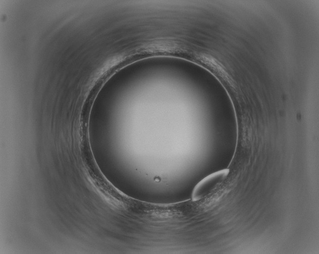 X0000062850439200601131354