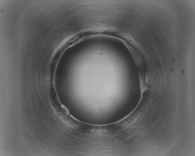 X0000062850440200601131354