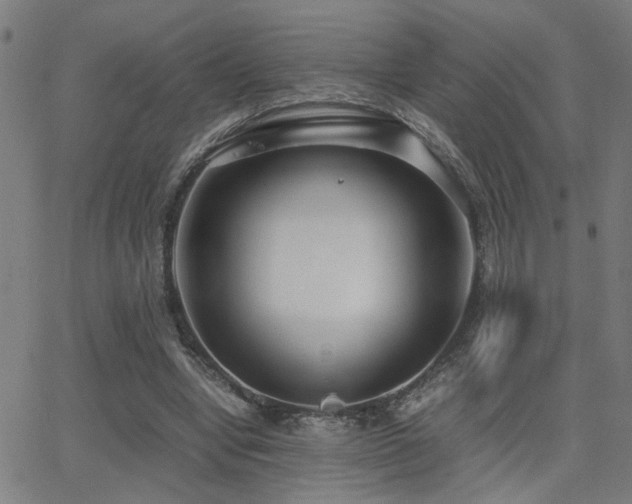 X0000062850442200601131354