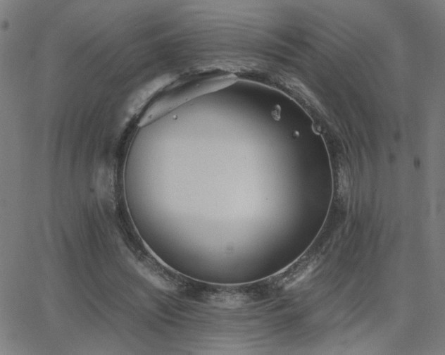 X0000062850444200601131354