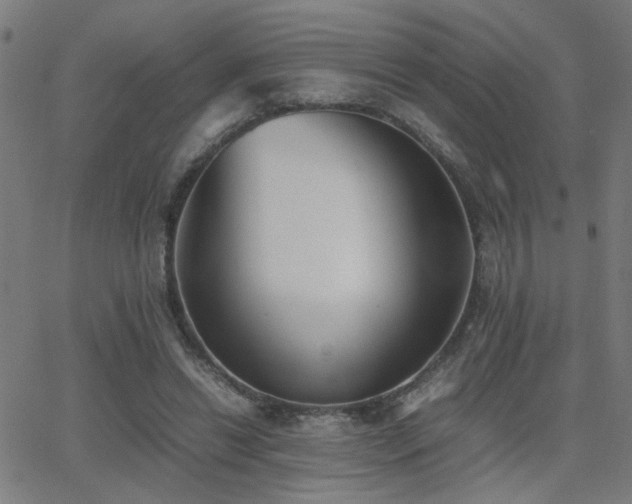 X0000062850446200601131354