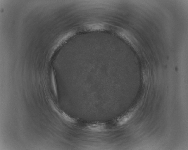 X0000062850447200601131354