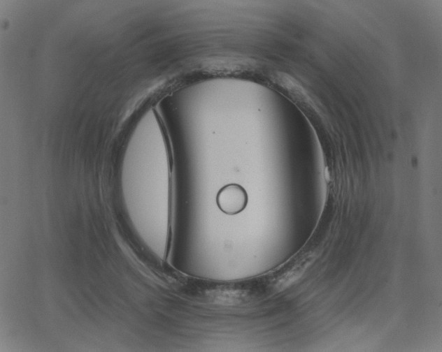 X0000062850448200601131354