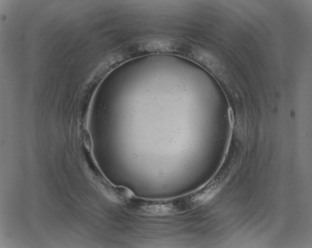 X0000062850449200601131354