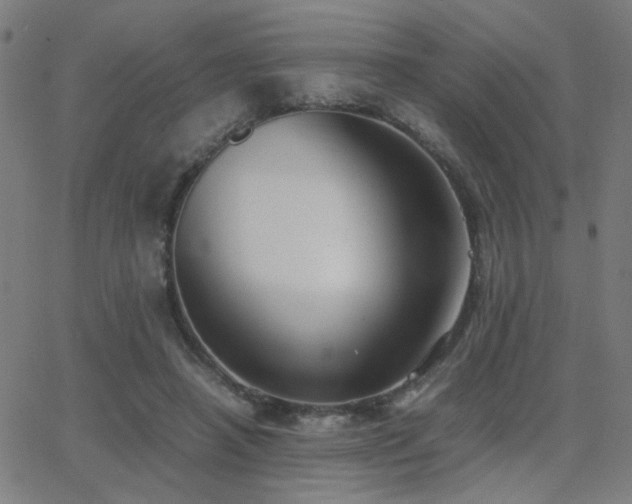 X0000062850450200601131354