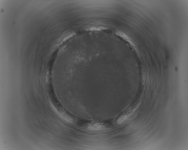 X0000062850451200601131354