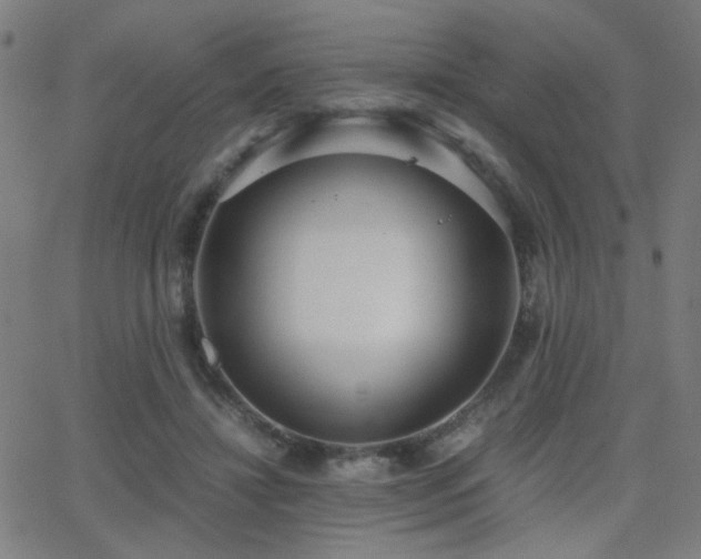 X0000062850452200601131354