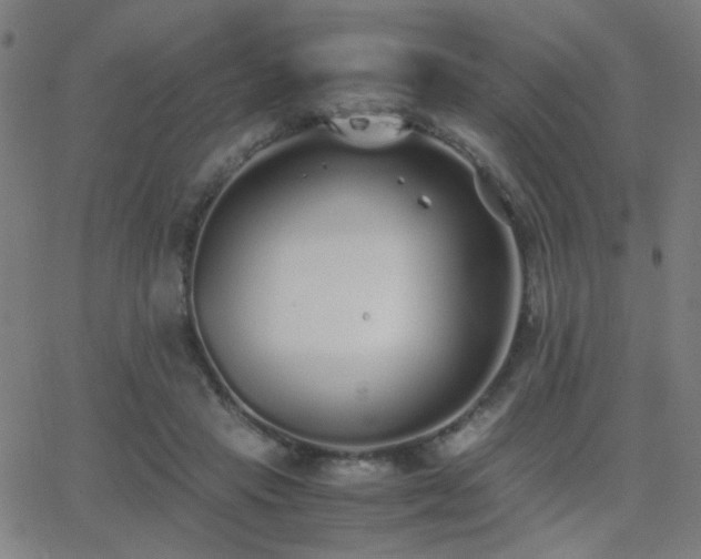 X0000062850453200601131354