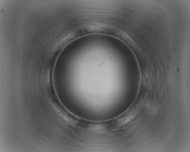 X0000062850454200601131354