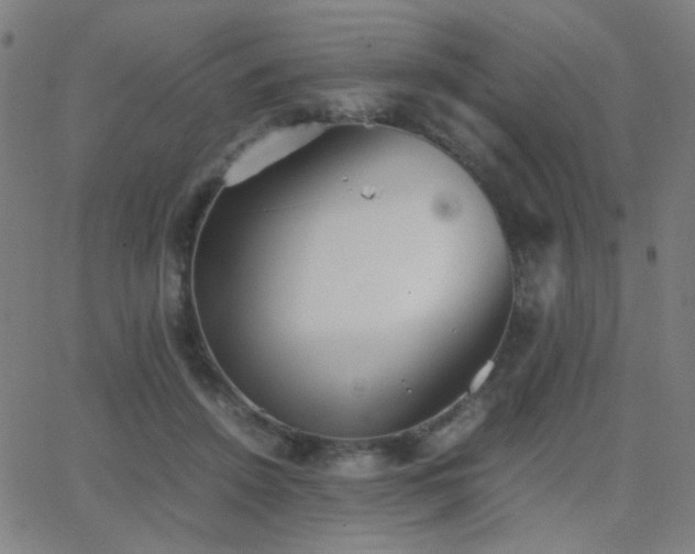 X0000062850456200601131354