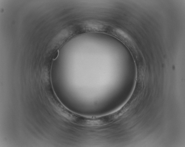 X0000062850457200601131354