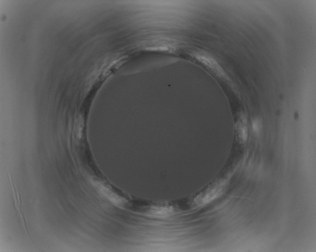 X0000062850458200601131354