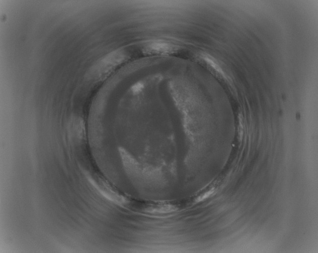 X0000062850459200601131354