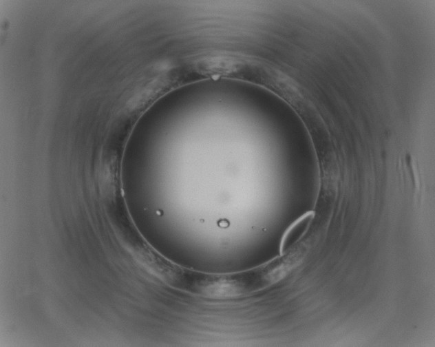 X0000062850460200601131354