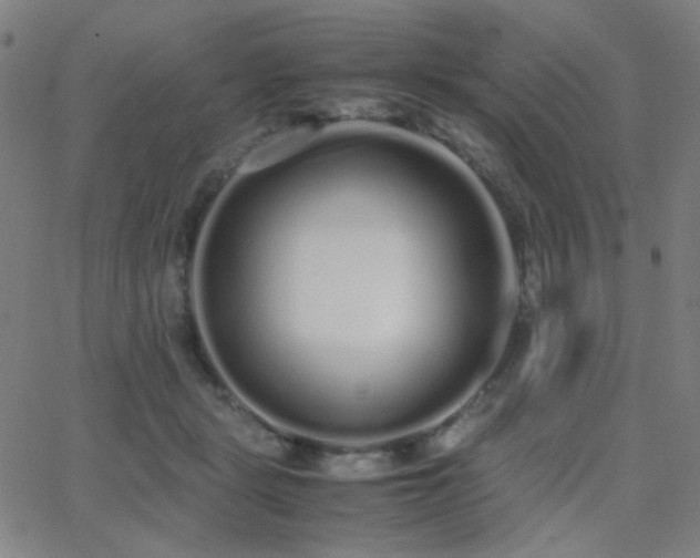 X0000062850461200601131354