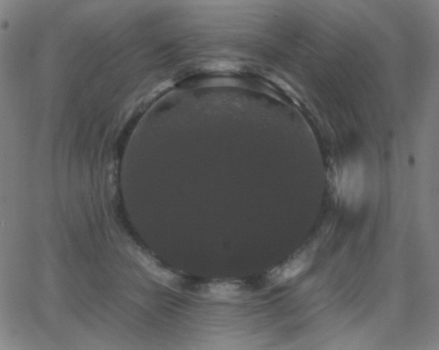 X0000062850462200601131354