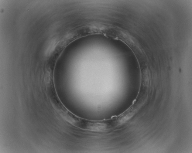 X0000062850463200601131354