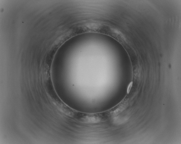 X0000062850464200601131354