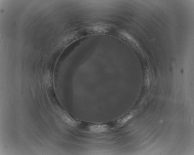 X0000062850465200601131354