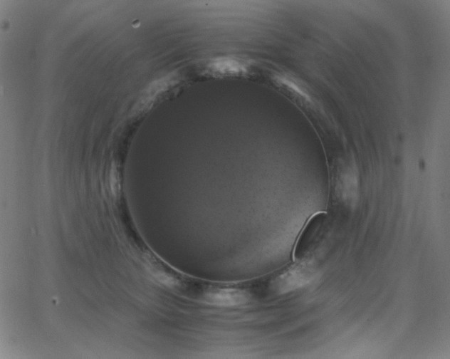 X0000062850467200601131354