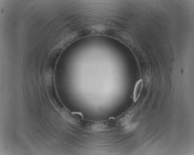 X0000062850468200601131354