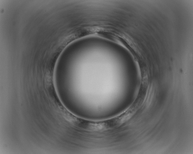 X0000062850469200601131354