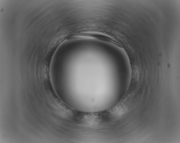 X0000062850470200601131354